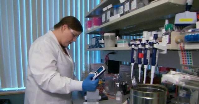 Summer weather has not stopped spread of coronavirus, and a new study ...