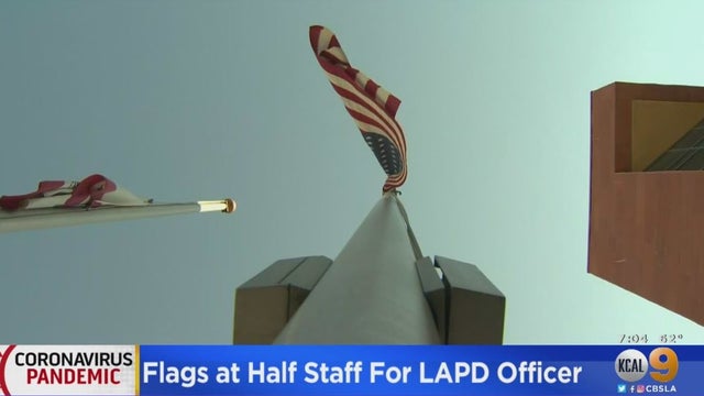 Flags-at-Half-Staff.jpg 