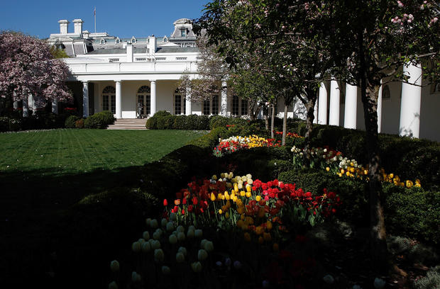White House Rose Garden In Spring 