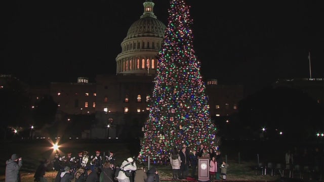 capitol-christmas-tree.jpg 