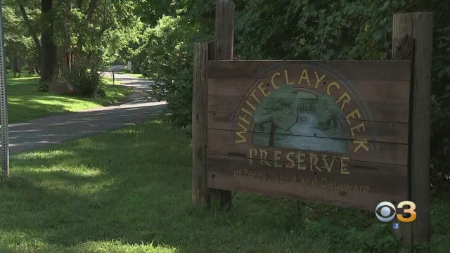 White-clay-creek-preserve.jpg 