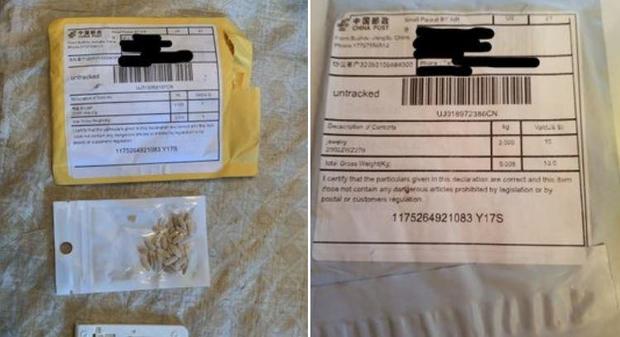 seeds-from-china-maryland.jpg 