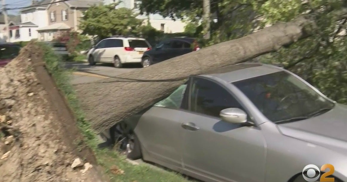 Tropical Storm Isaias: Officials Say More Than 7,000 Power Lines Came ...