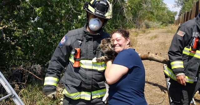 Arvada Firefighters Rescue Cat From Tree CBS Colorado