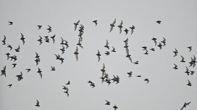 GettyImages-1203952877.jpg