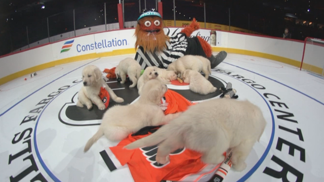 gritty-pups-on-ice.png 
