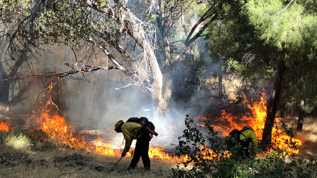 Lake-Fire-Angeles-National-Forest.png 