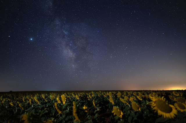 Like scene from Star Wars: Military share pictures of night assaults during  the Perseid meteor shower