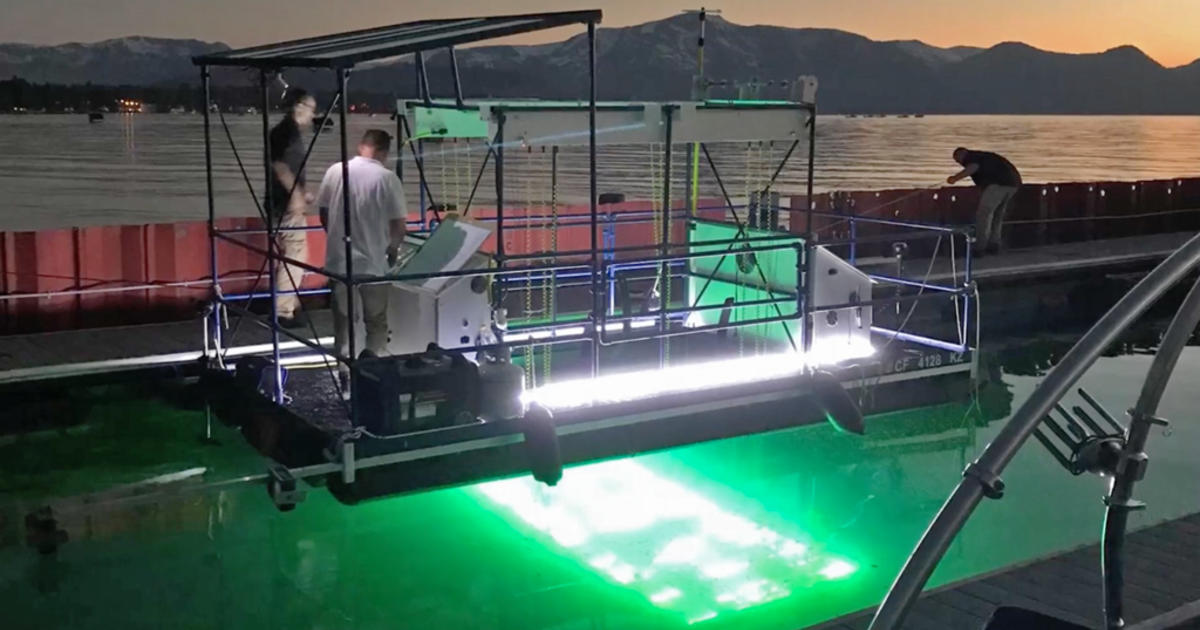 Researchers Blast Algae, Invasive Plants With UV Rays to Keep Lake Tahoe Blue - CBS Francisco