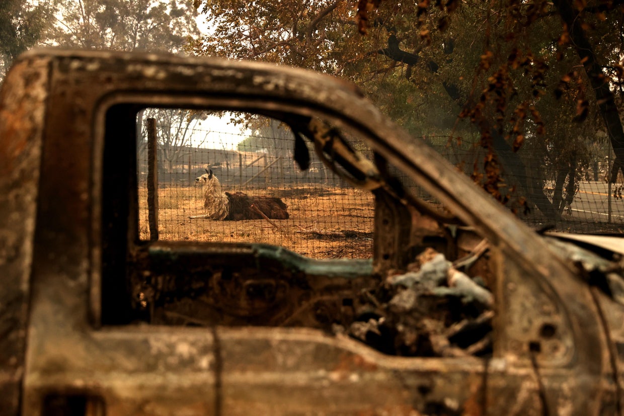 LNU Lightning Complex Fire Burns In Napa County 