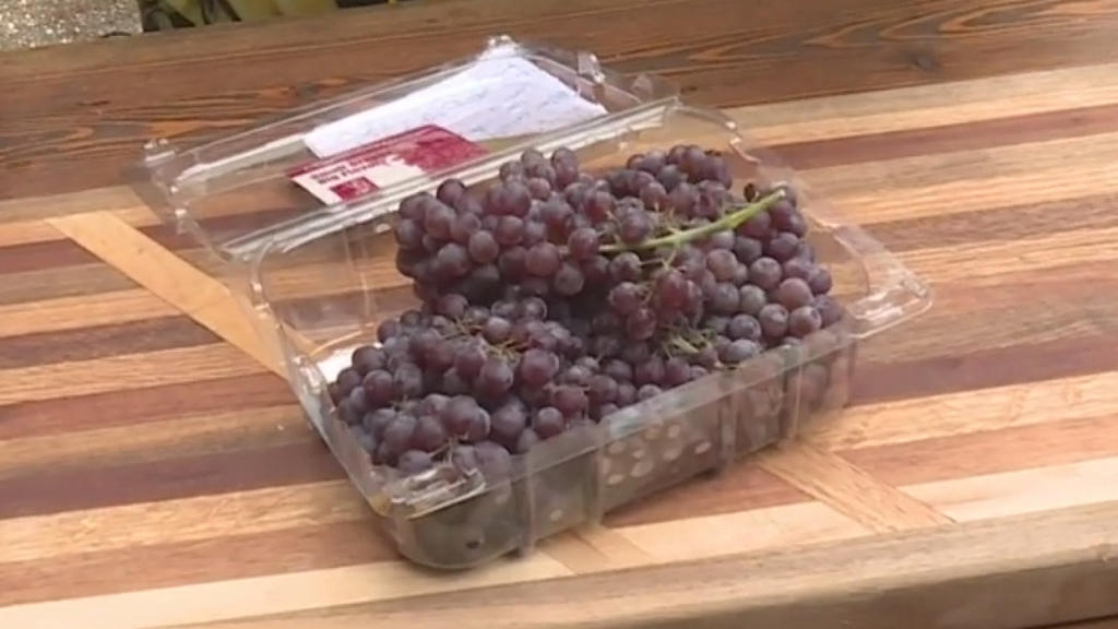 All About Champagne Grapes: Little Grapes Big On Flavor