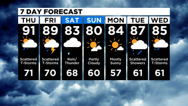 7 Day Forecast 