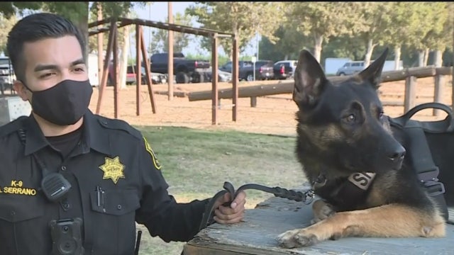 sj-co-k9-kimbo.jpg 