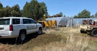 Illegal Marijuana Grow Busted Near Telluride - CBS Colorado