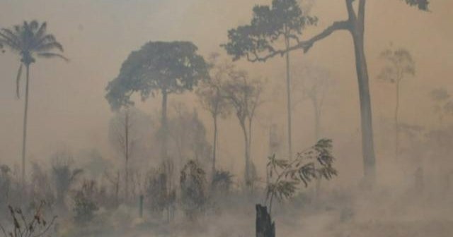 Report Brazil's Amazon protection plan does more harm than good CBS News