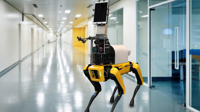 robot-dog-vitals.jpg 