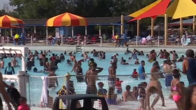 Swimmers in pool 