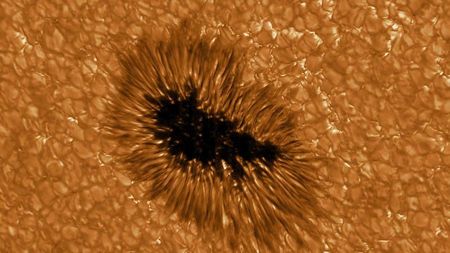 bdm-2020-09-01-mov.gif 