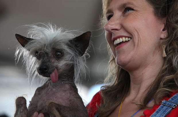 Former World's Ugliest Dog Dies 