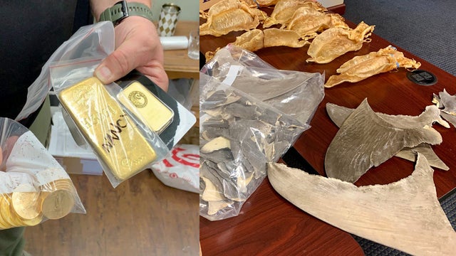shark-fins-gold-bars-indictment.jpg 