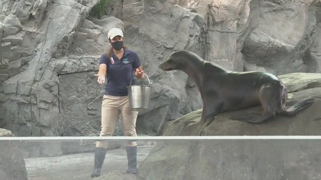 aquarium-of-the-pacific-morning-exhibit.jpg 