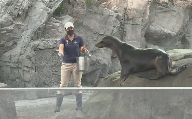 aquarium of the pacific morning exhibit 