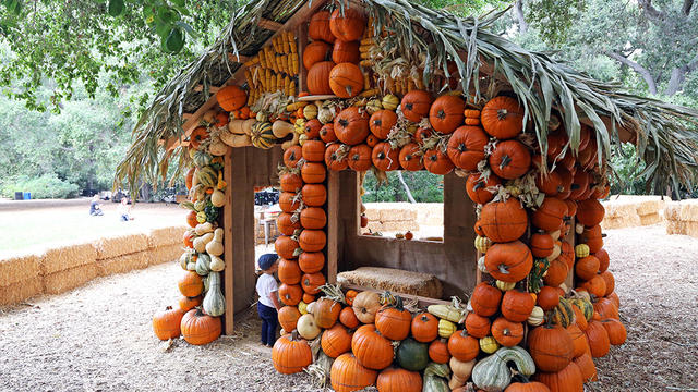 Descanso-pumpkin-house.jpg 