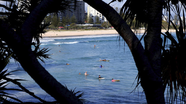 Australia Shark Attack 