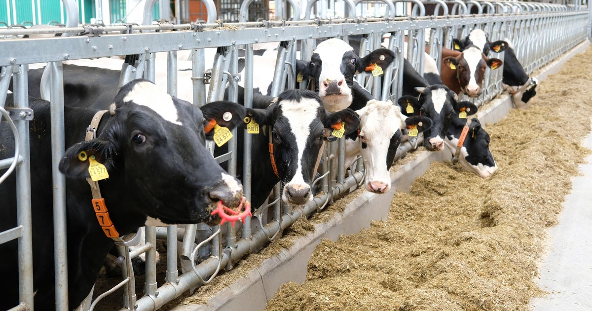 Almost half of humanity is eating too much or too little, report says ...