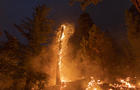 Bobcat Fire Burns East Of Los Angeles 