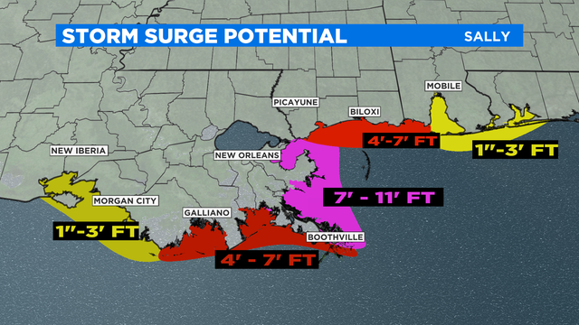 Potential Storm Surge Manual1 