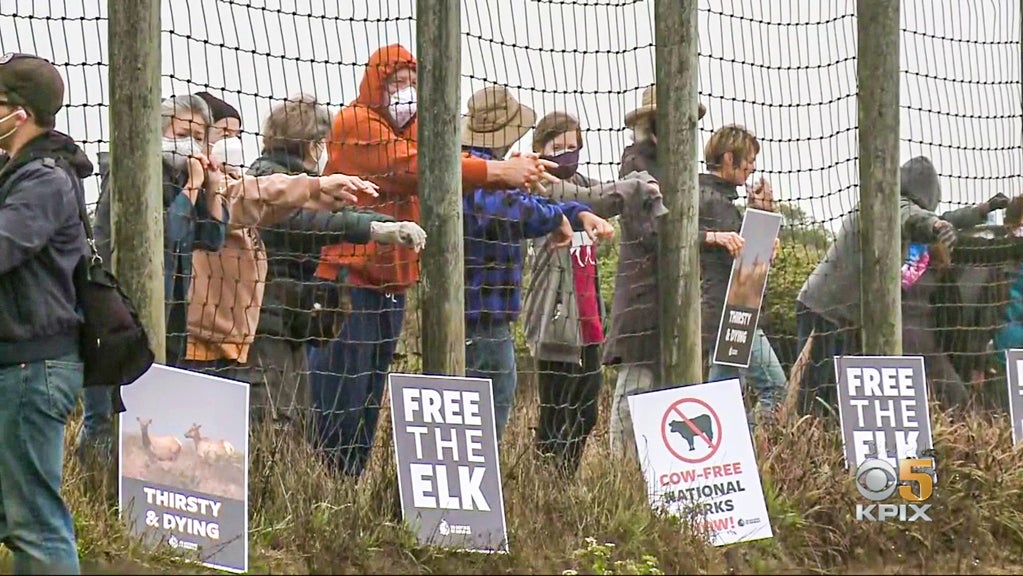 Point Reyes Protest 