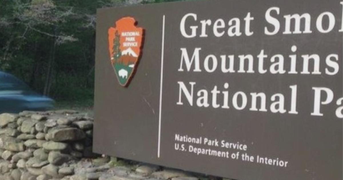 7-year-old Girl Dies In Great Smoky Mountains National Park After Tree 