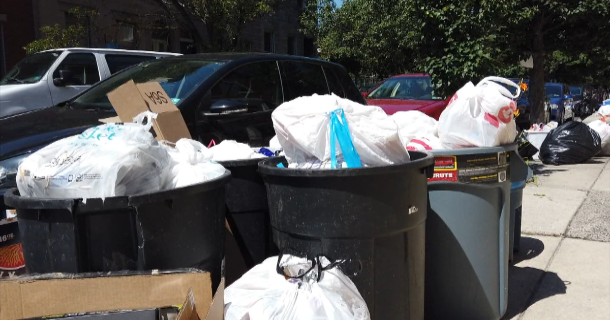 Residents Say Trash Collection Issues Led To Rats Running Rampant In ...