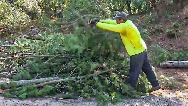 oakland_hills_brush_clearing_091720.png 