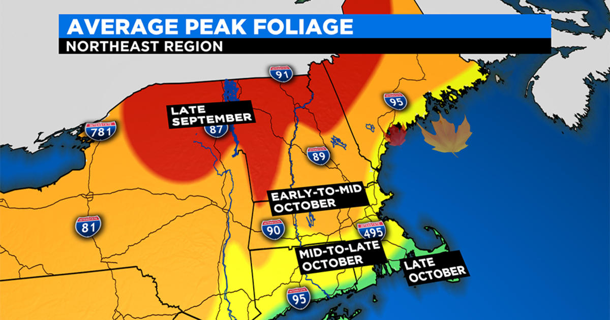Fall Foliage Forecast For New England Where To Drive This Weekend