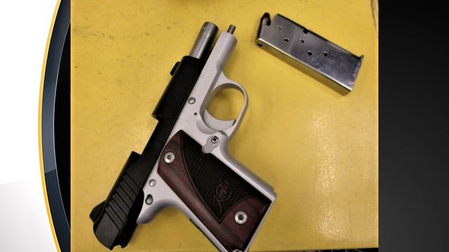 TSA-Gun.jpg 