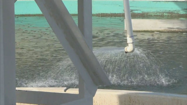 CSU DORM QUARANTINE 10 PKG.transfer_frame_256 