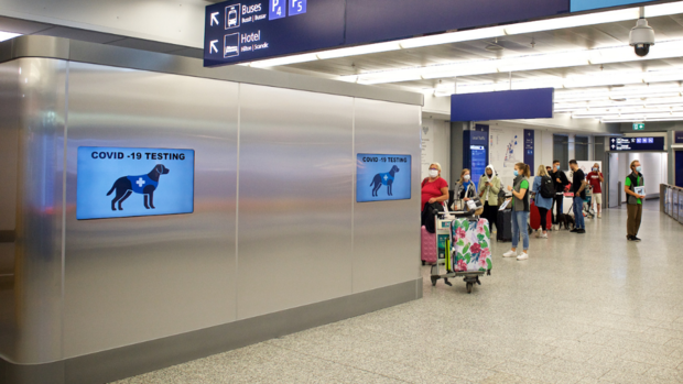 helsinki-airport-coronavirus-sniffing-dogs-1228704963 