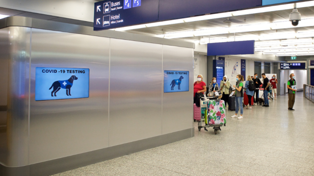 helsinki-airport-coronavirus-sniffing-dogs.png 