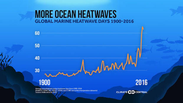 more-ocean-heatwaves.jpg 