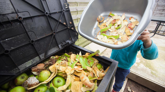 Trip to compost bin 