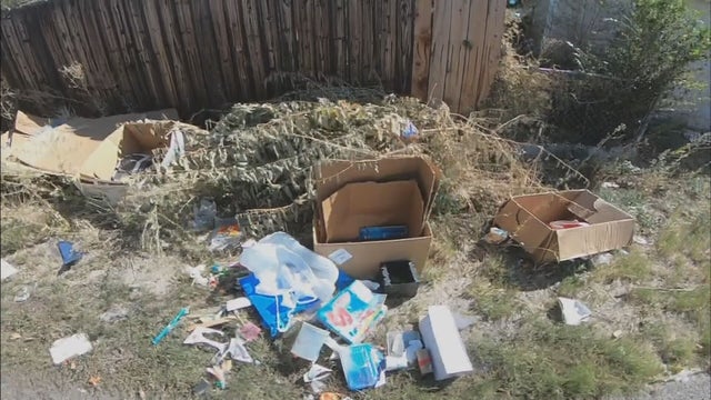 HOMELESS-CLEANUP-5PKG.transfer_frame_1271.jpeg 