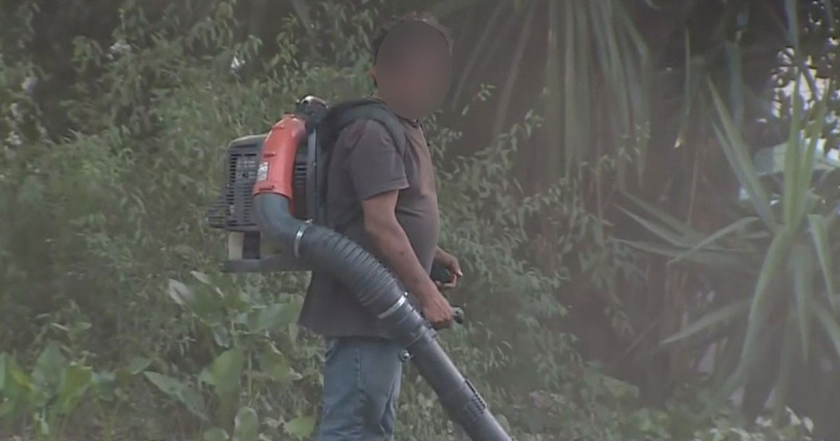 Davis Police Responding To Calls About Illegal Leaf Blowing On Bad Air