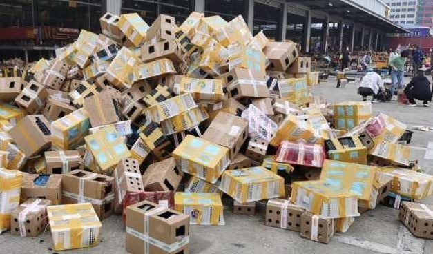 china-dead-pets-henan.jpg 