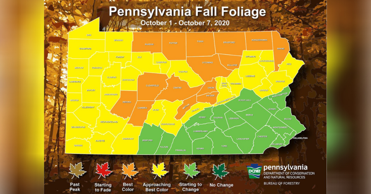 Fall Foliage Calendar 2020 Fall Foliage Forecast: Leaves In Western Pa. Approaching Peak Colors - Cbs  Pittsburgh