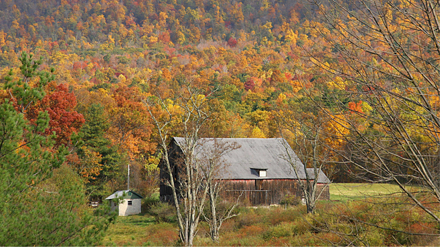 peak-fall-leaves.png 
