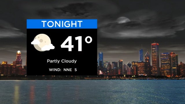 Screen Shot 2020-10-02 at 1.51.42 PM 