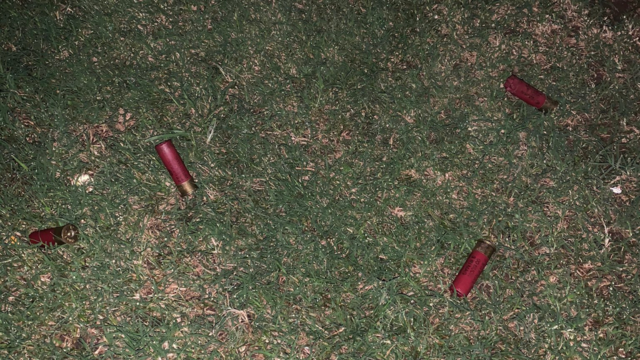 SJ-bullet-casings.png 