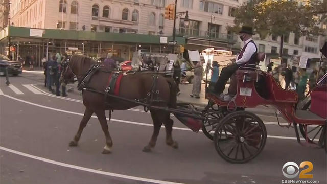 horse-drawn-carriage.jpg 